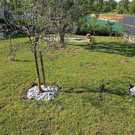 Apartman Jenny-Porec Kosinozici Exterior foto