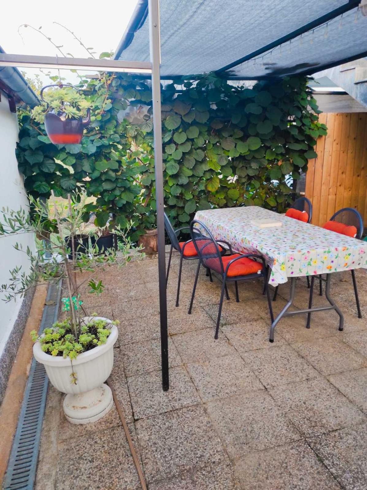 Apartman Jenny-Porec Kosinozici Exterior foto