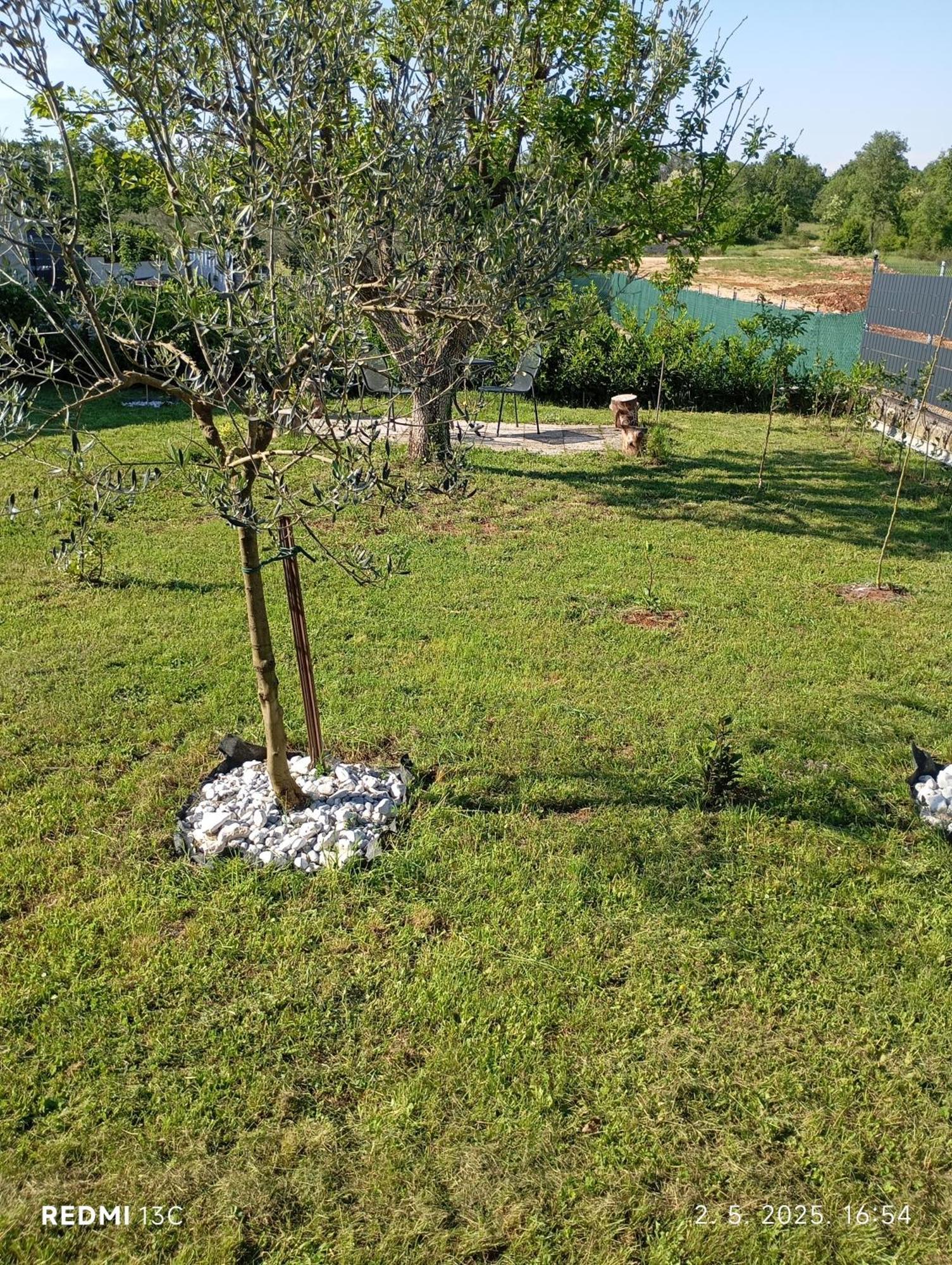 Apartman Jenny-Porec Kosinozici Exterior foto